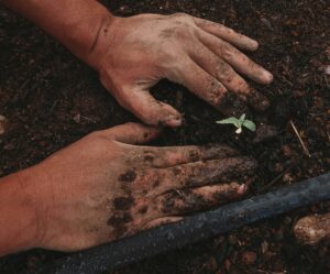 las-semillas-invisibles-que-estan-creando-tu-vida