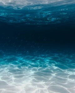 navegar-el-oceano-de-la-mente