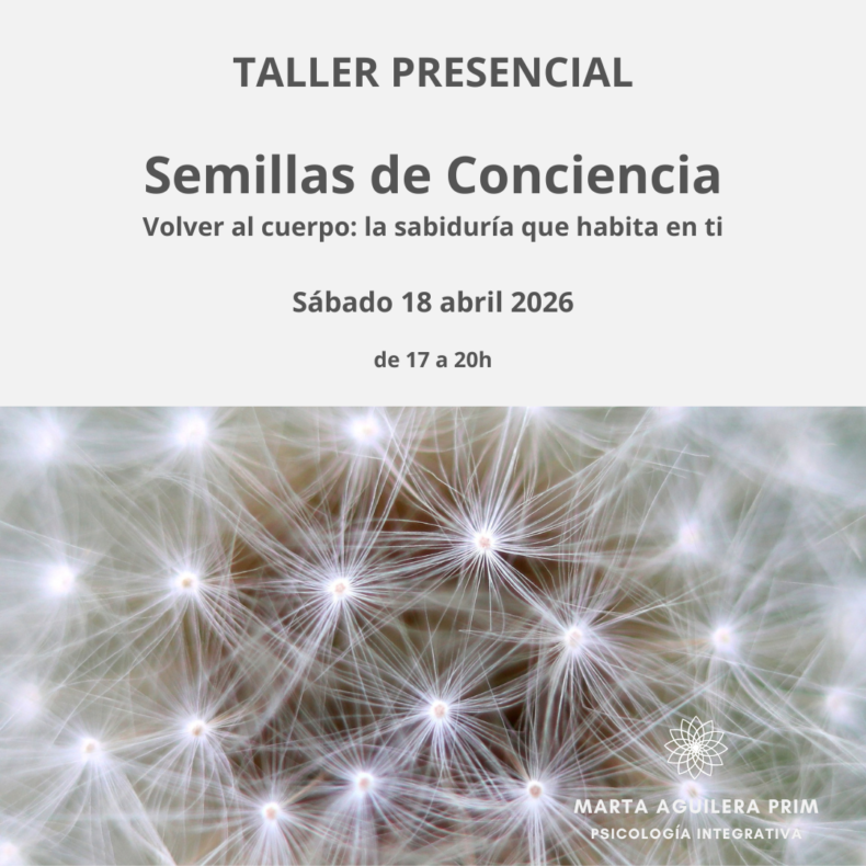 Semillas-de-conciencia