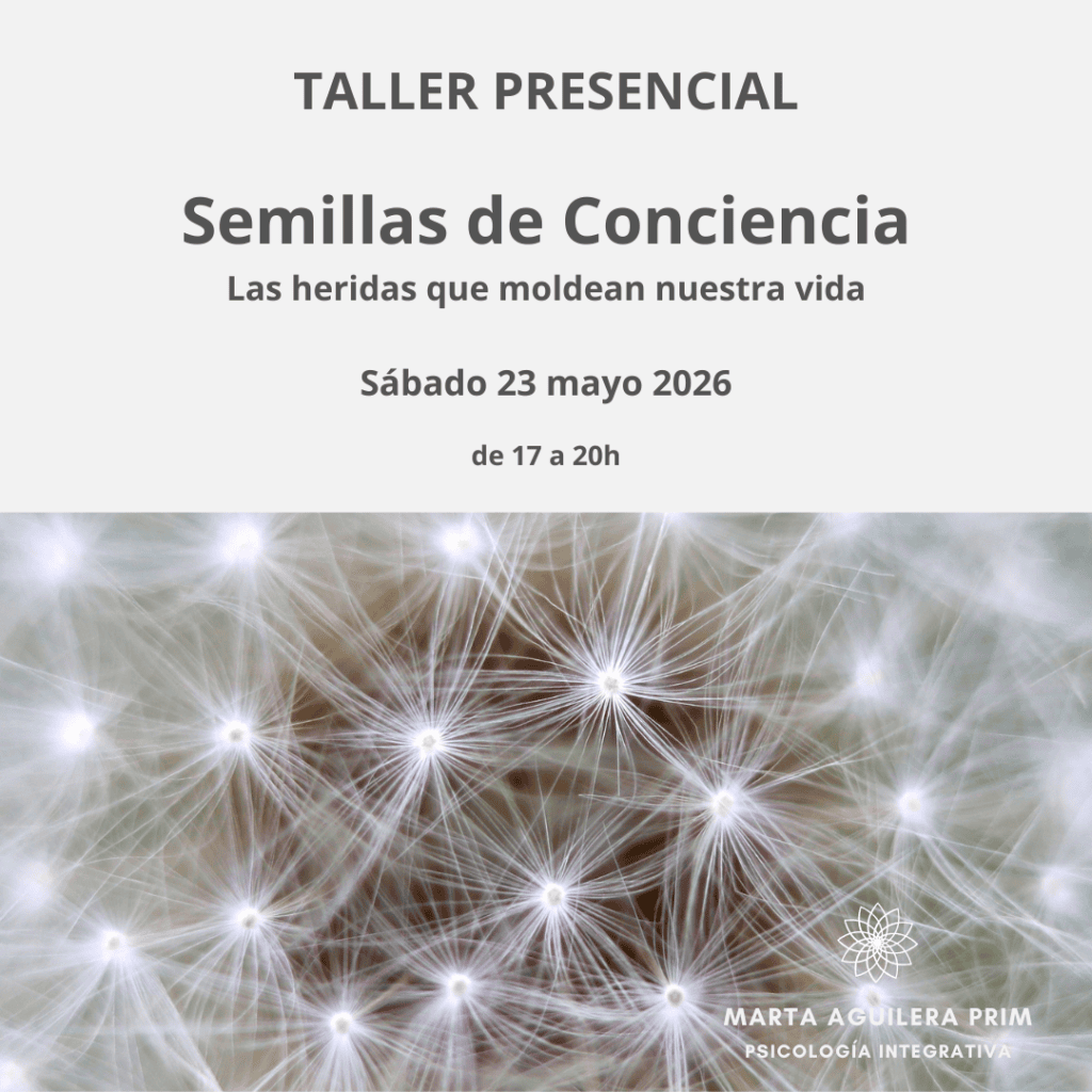 semillas-de-conciencia