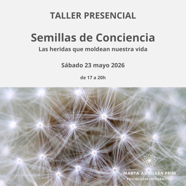 semillas-de-conciencia