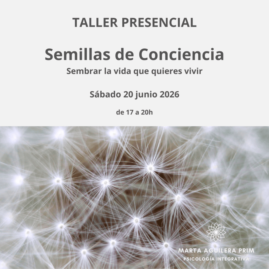 semillas-de-conciencia3